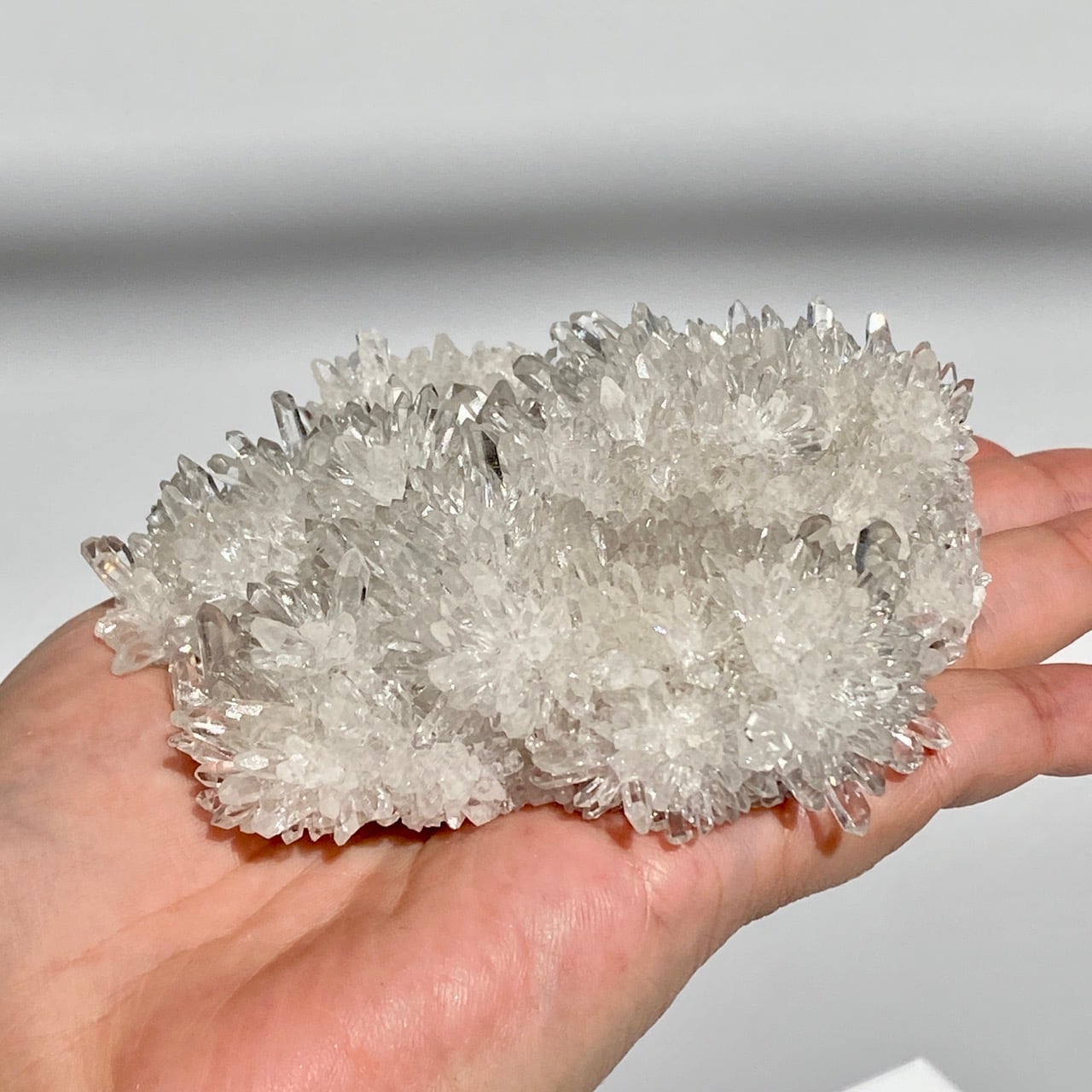 菊花水晶のクラスター Chrysanthemum Clear Quartz Cluster RW6287
