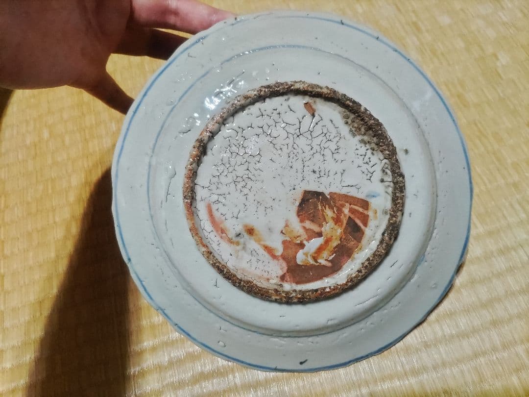 中国 古染付 鹿絵皿（23㎝）漳州窯 美品 - メルカリ